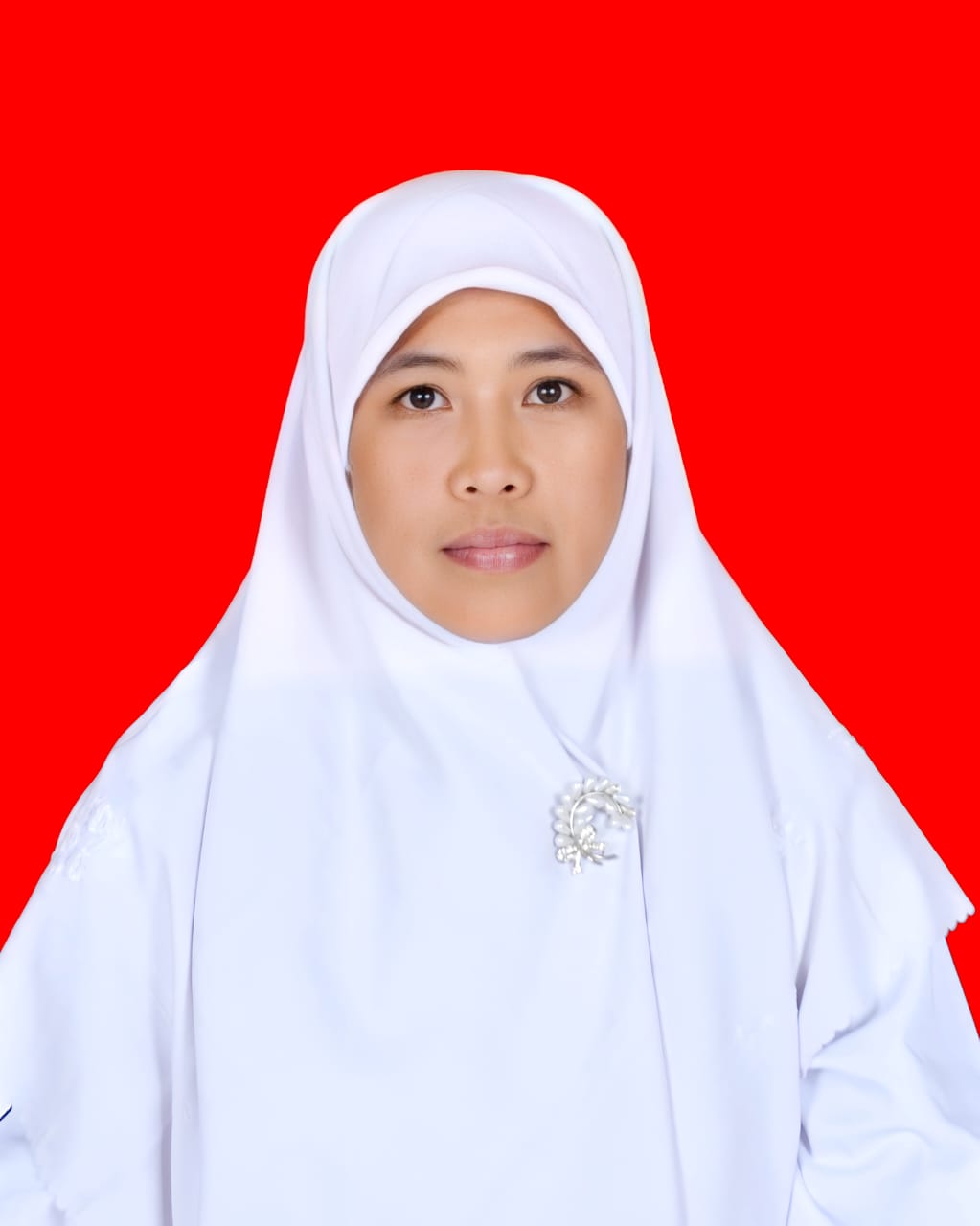 HANNY ULFA S.SI